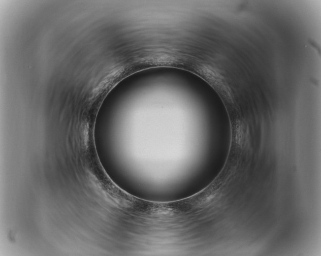X0000101170206200807071229
