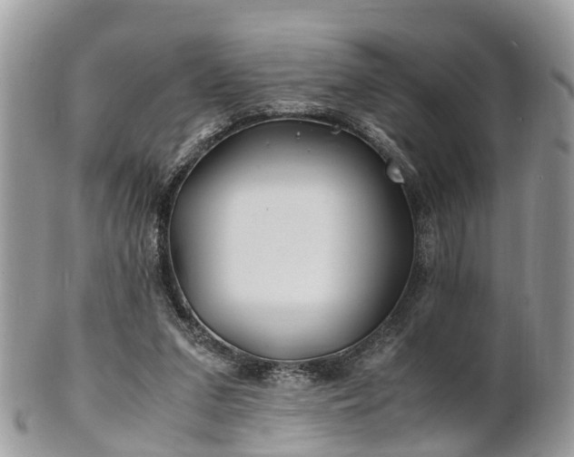 X0000101170207200807071229