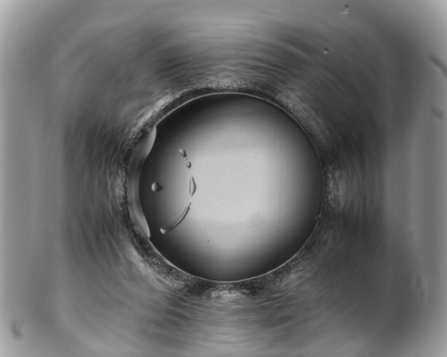 X0000101170208200807071229