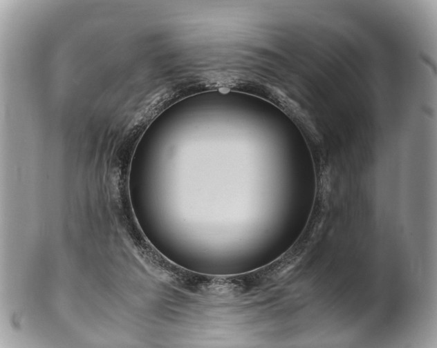 X0000101170209200807071229