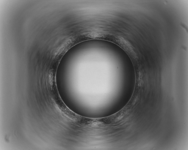 X0000101170210200807071229