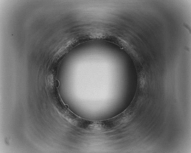 X0000101170211200807071229