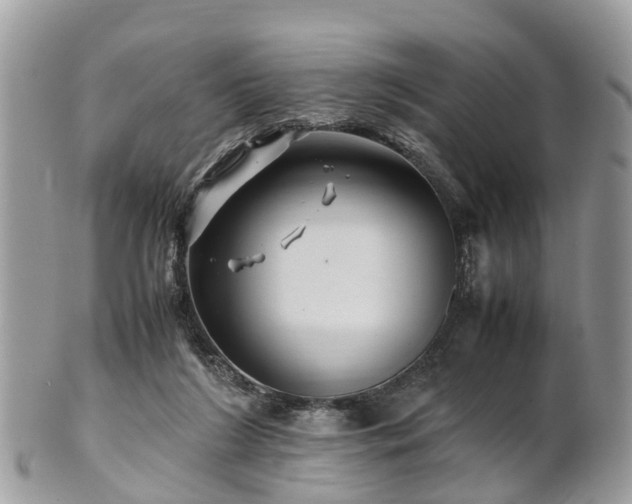 X0000101170212200807071229