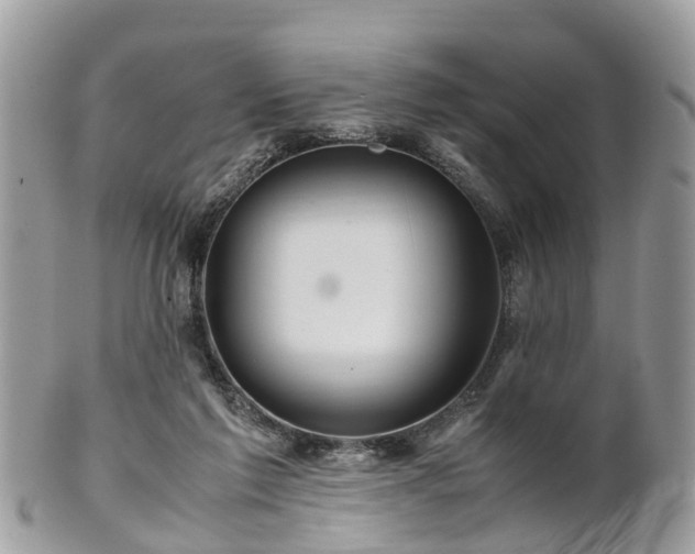 X0000101170213200807071229