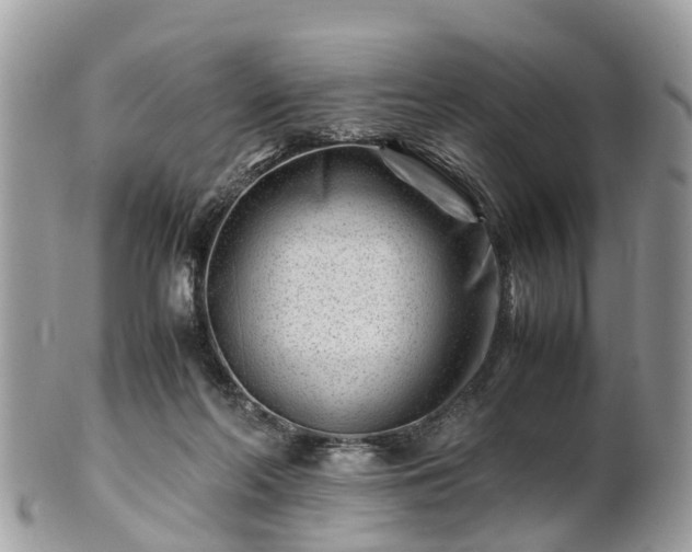 X0000101170214200807071229