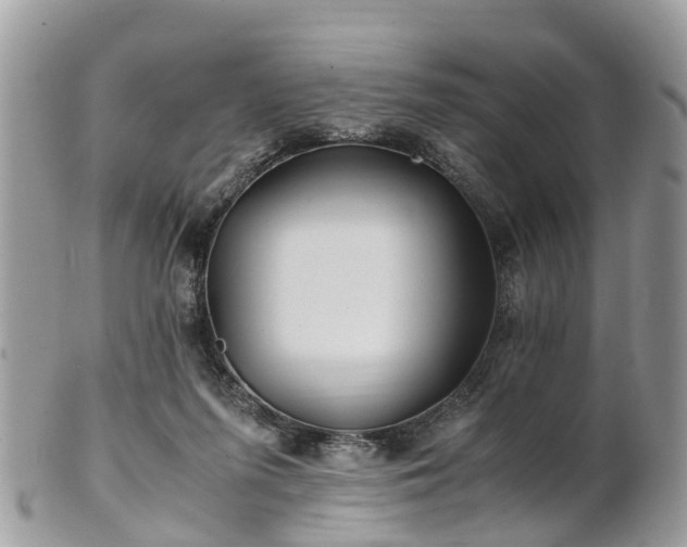 X0000101170215200807071229