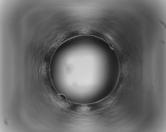 X0000101170217200807071229
