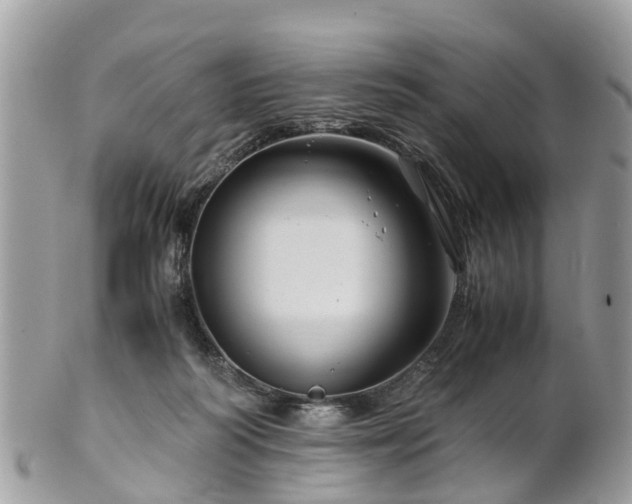 X0000101170218200807071229