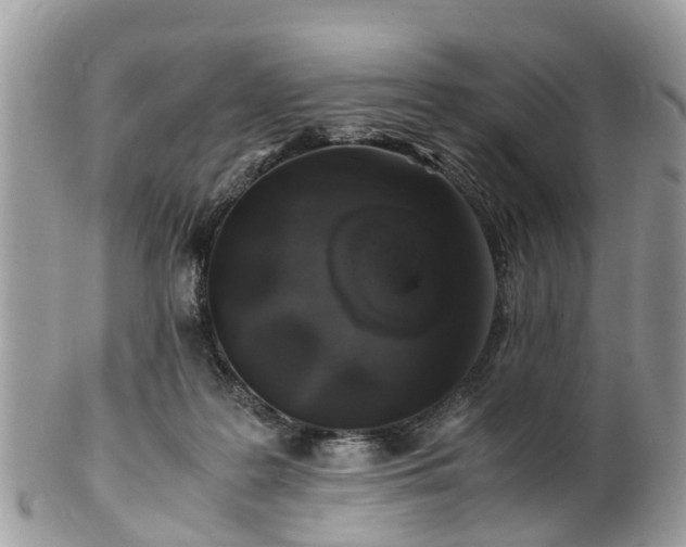 X0000101170219200807071229