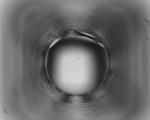 X0000101170221200807071229