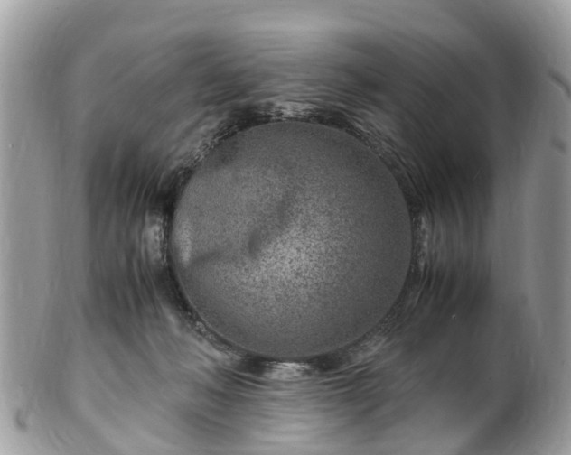 X0000101170222200807071229
