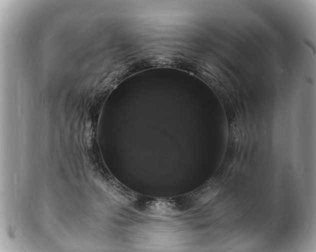 X0000101170223200807071229