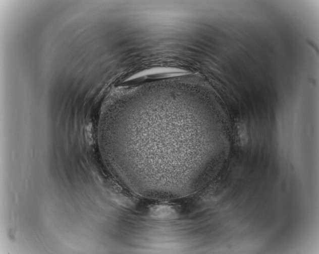 X0000101170224200807071229