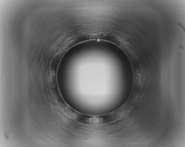 X0000101170225200807071229