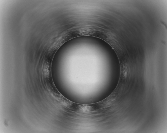 X0000101170226200807071229