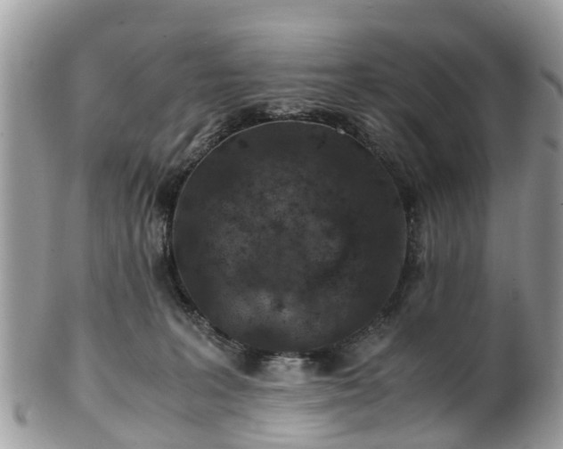 X0000101170227200807071229