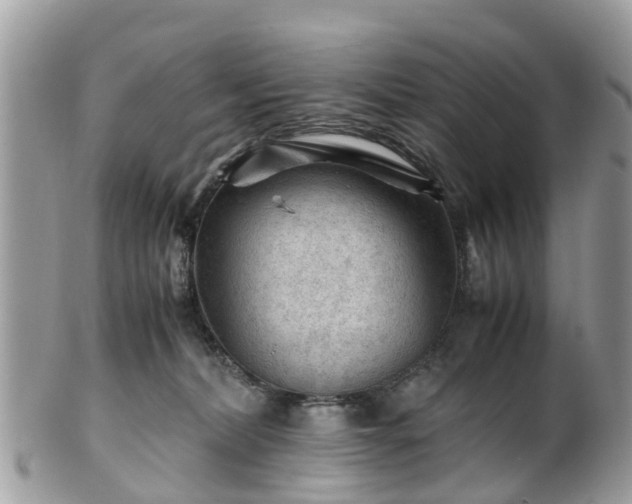 X0000101170228200807071229
