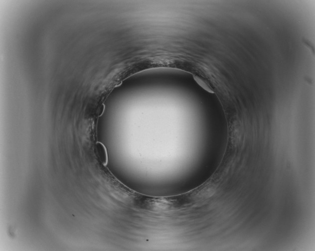 X0000101170229200807071229