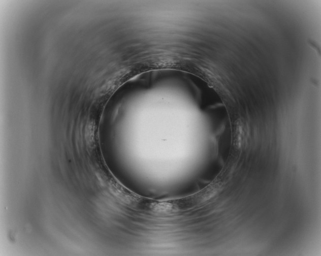 X0000101170230200807071229