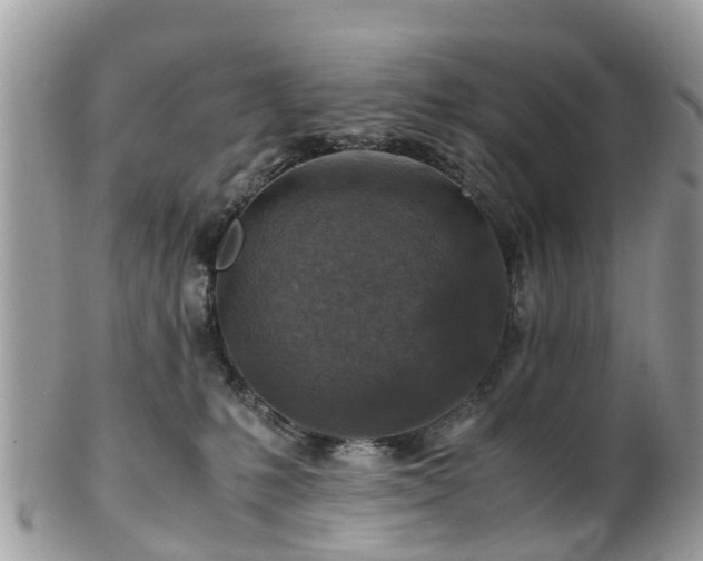 X0000101170231200807071229