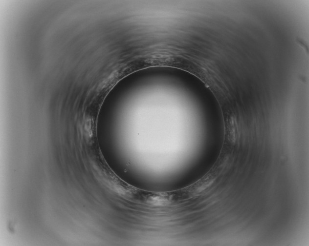 X0000101170232200807071229