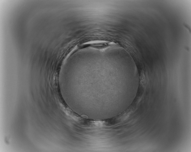 X0000101170233200807071229
