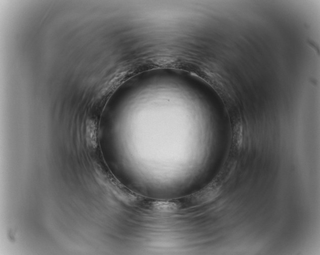 X0000101170234200807071229