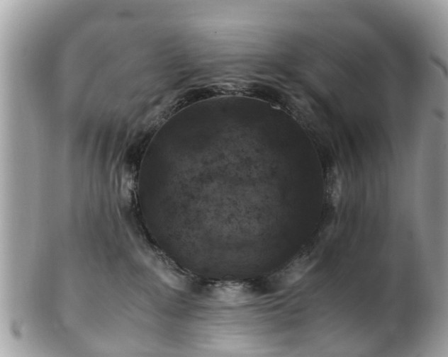 X0000101170235200807071229