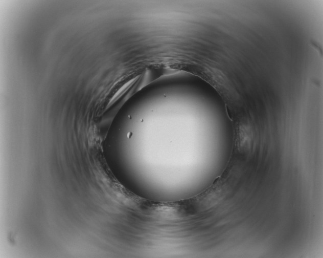 X0000101170236200807071229
