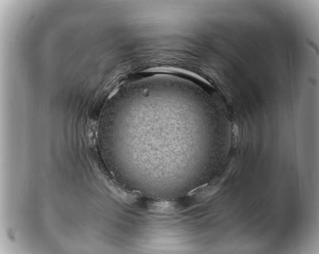 X0000101170237200807071229