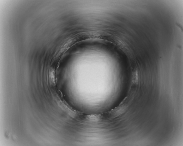 X0000101170238200807071229