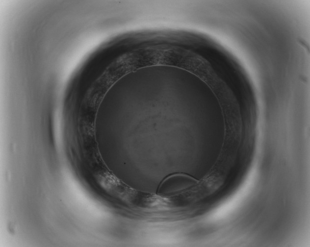 X0000101170239200807071228