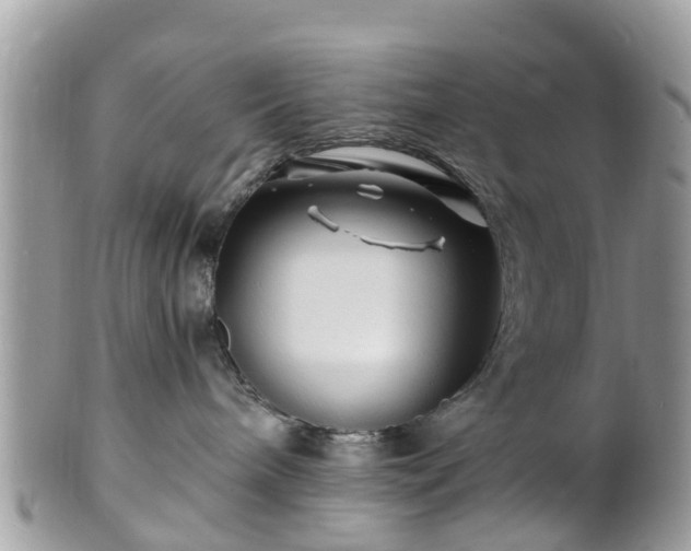 X0000101170240200807071228