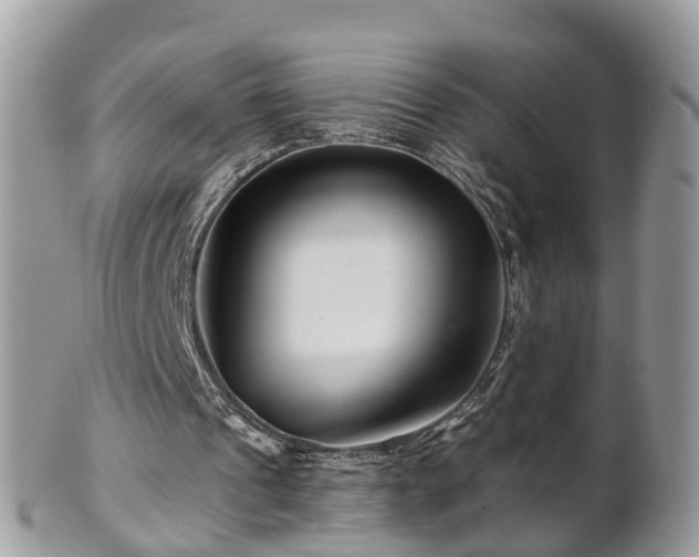 X0000101170241200807071228