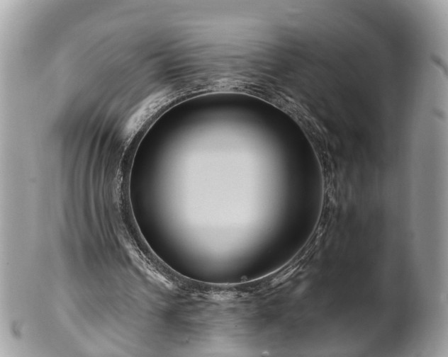 X0000101170242200807071228