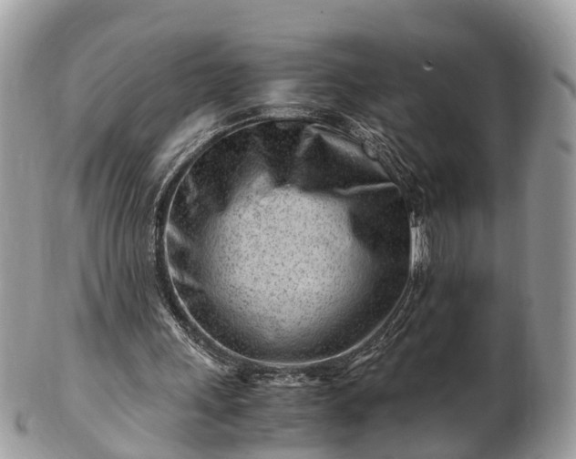X0000101170243200807071228