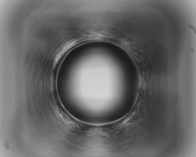 X0000101170244200807071228