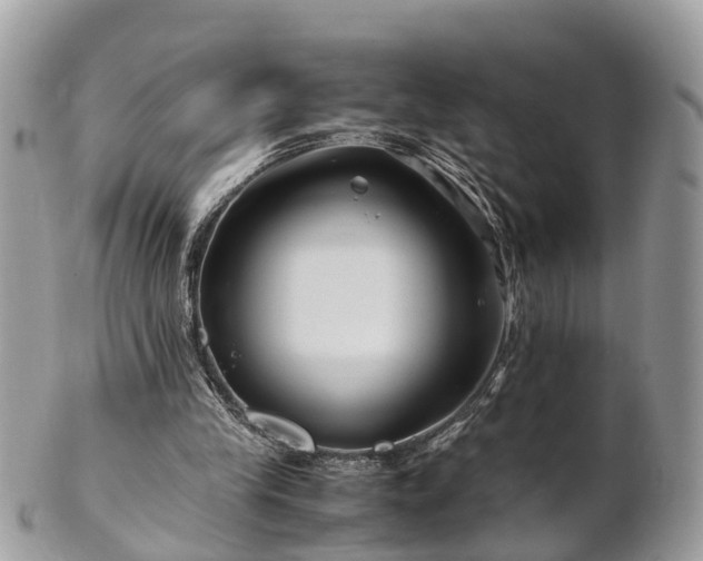 X0000101170245200807071228