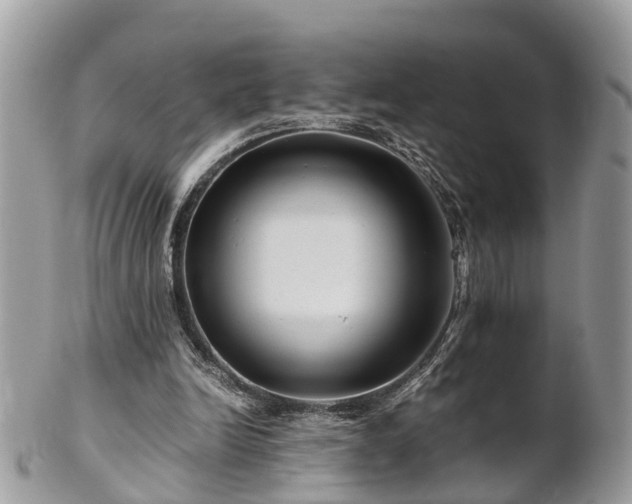X0000101170246200807071228