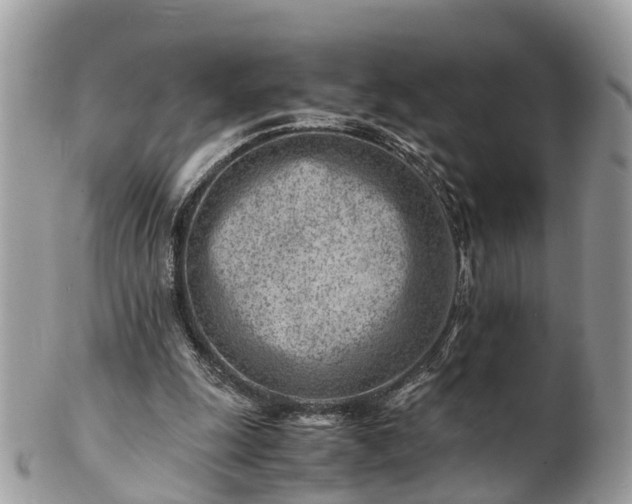 X0000101170247200807071228