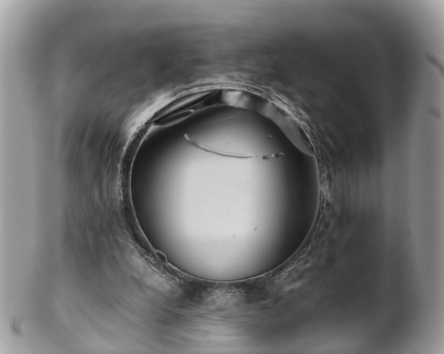X0000101170248200807071228