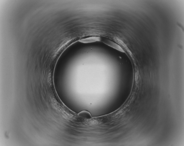 X0000101170249200807071228