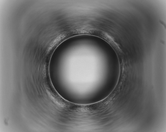X0000101170250200807071228