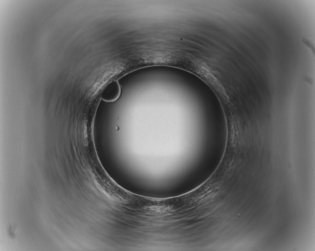 X0000101170251200807071228