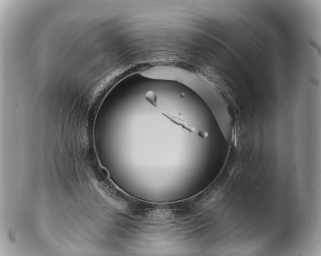 X0000101170252200807071228