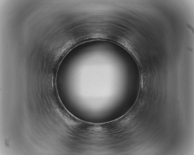 X0000101170253200807071228