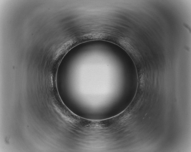 X0000101170254200807071228
