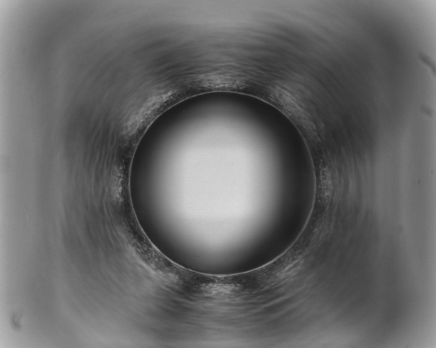 X0000101170255200807071228