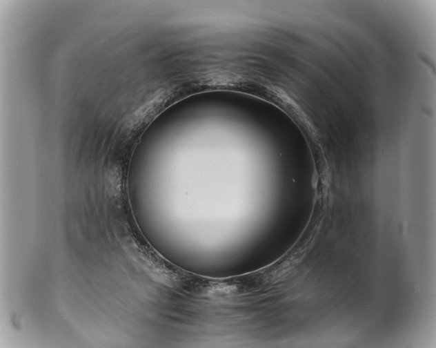 X0000101170257200807071228