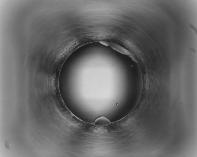 X0000101170258200807071228